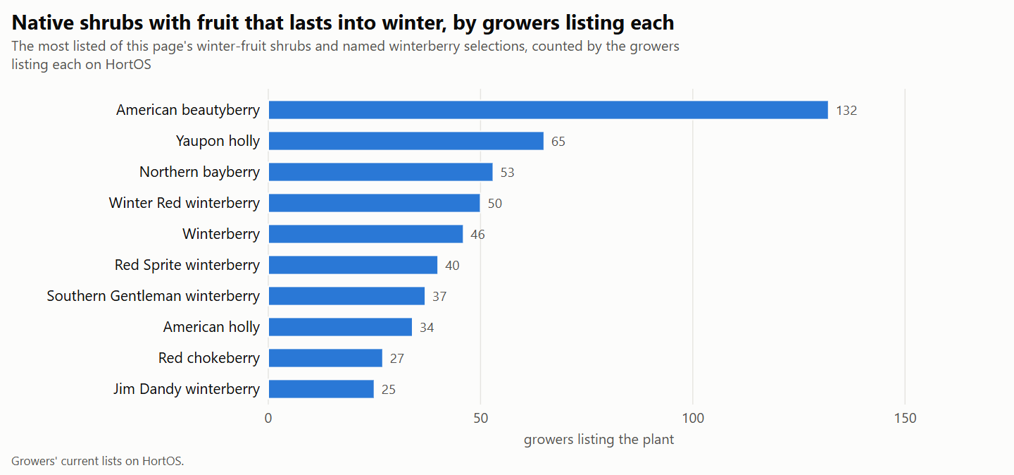 Bar chart of native shrubs whose fruit lasts into winter, with named female and male winterberry selections, ranked by how many growers list each one on HortOS.
